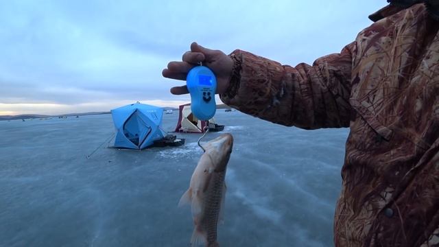 РЫБАЛКА НА КРЕСТ! ОНИ ПРУТ КАК ТАНКИ! рыбалка на карася весной 2021 смотреть онлайн