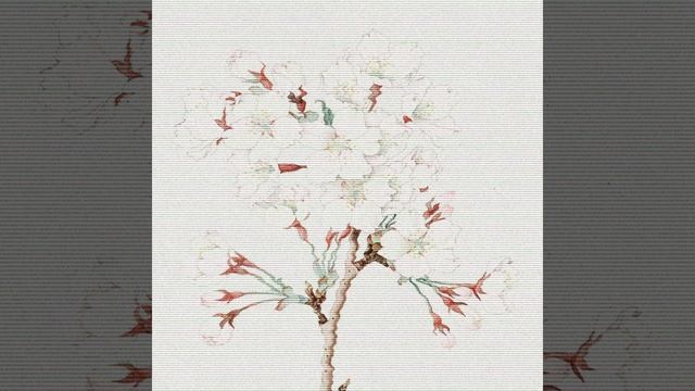 Chasing Time смотреть онлайн