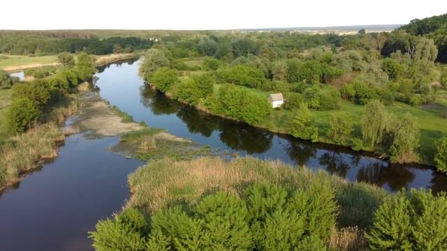 Как сохранять спокойствие в любой ситуации смотреть онлайн