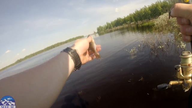 Рыбалка в Сургуте. Река Аношкина. NORD 86 смотреть онлайн