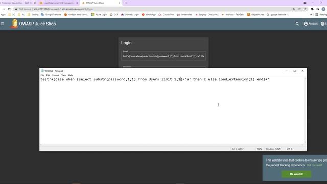 AWS WAF BYPASS - Blind SQL Injection смотреть онлайн