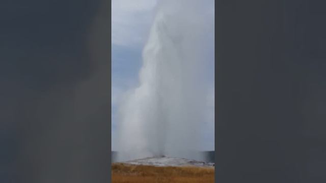 The Tallest Geyser In Yellowstone National Park, Wyoming