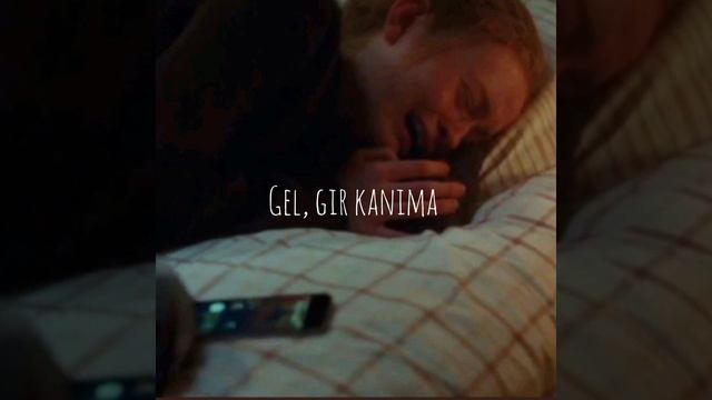 Sertab Erener – Aşk ( Sözleriyle ) смотреть онлайн