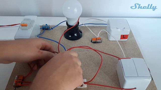 Shelly How to... - Shelly 1 смотреть онлайн
