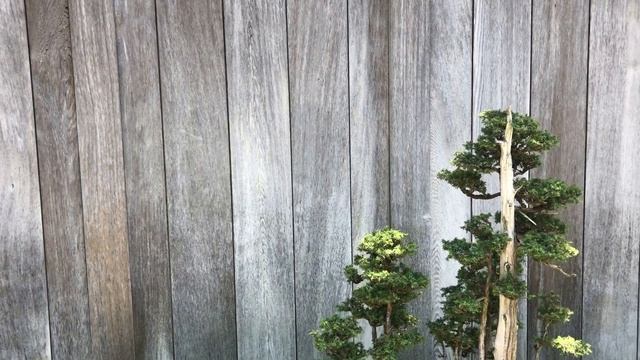 "Вальс цветов" - программа проекта "Восемнадцатое измерение" -11 мая 2019 года смотреть онлайн