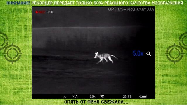 ? Pulsar Helion 2 XP50 ? Лучший тепловизор для леса? Тест