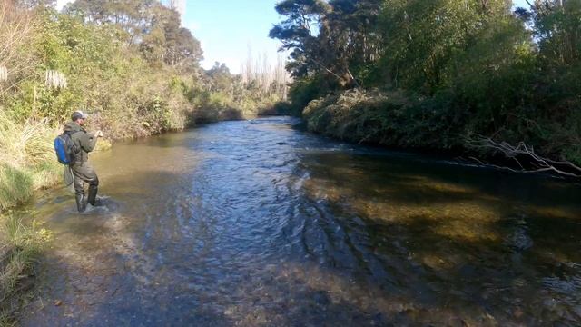 How Euro Nymphing can CHANGE your Fly Fishing FOREVER!! смотреть онлайн