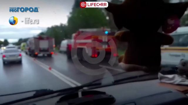 Автобус Рязань-Домодедово