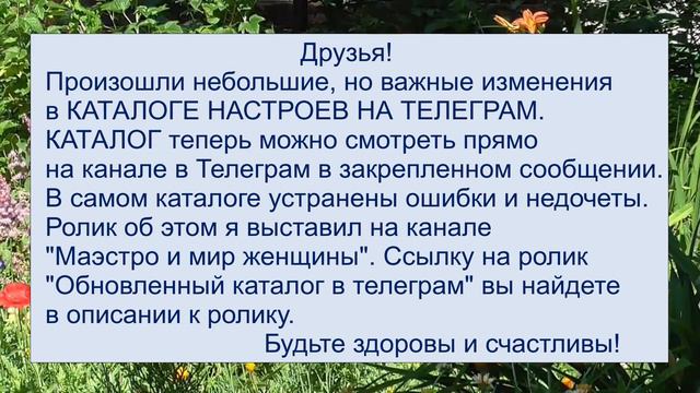 Аудио настрои в Телеграм Изменения в каталоге смотреть онлайн