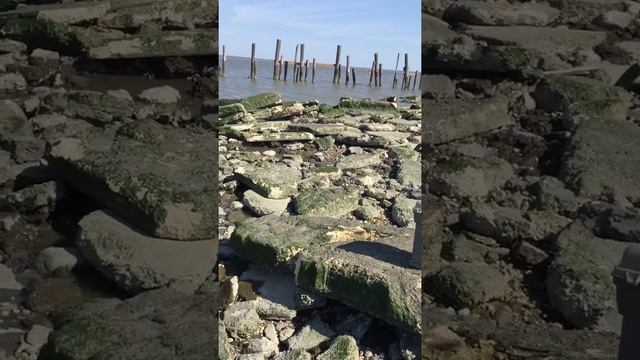 Рыбалка в Америке. Куда я езжу рыбачить смотреть онлайн