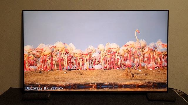 Телевизор LG NanoCell 65SM8200PLA смотреть онлайн