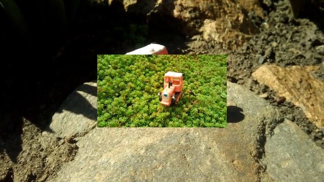 Plasticine product ? DT75 Kazakhstan Пластилиновая лепка трактор ДТ75 Казахстан смотреть онлайн