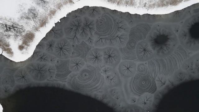 Каменный цветок для тебя | Национальный парк Марий Чодра смотреть онлайн