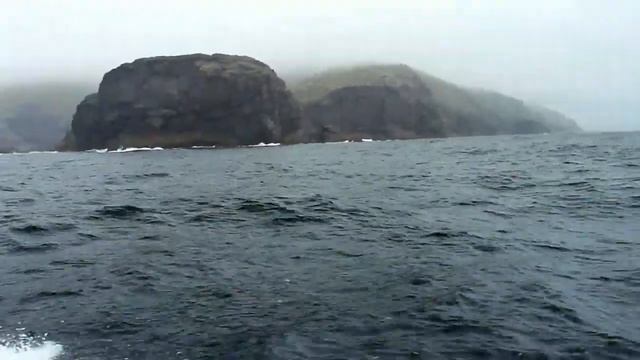 Exploring Puffin and Scarriff Islands, County Kerry, Ireland смотреть онлайн