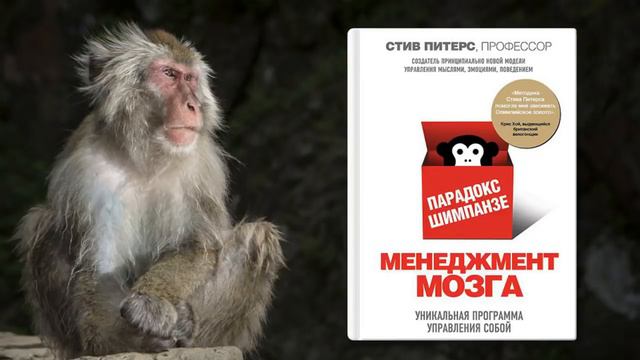 Простые действия, чтобы стать успешным. Начни менять мир с себя! смотреть онлайн