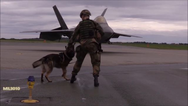 NATO, Norway. F-35A Lightning II and F-22 Raptor stealth fighters on exercises. смотреть онлайн