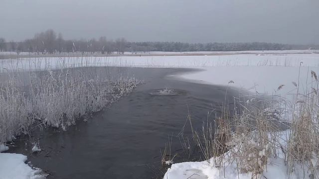 Крещение водное.г.Северодонецк. 2021©.Северодонецк Оз."Чистое" смотреть онлайн