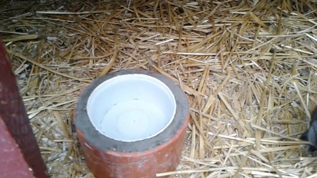 кормушки и поилки для кроликов своими руками ♡ дешево♡ быстро♡ смотреть онлайн