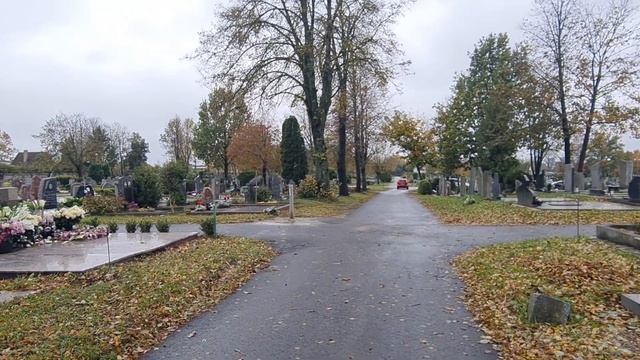Литва Почему  ВСЕ на кладбище День поминания усопших. День всех святых#lietuva #klaipėda #vėlinės