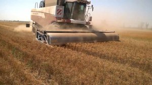 Очесывающая жатка ОЗОН.  Культура Лён масличный