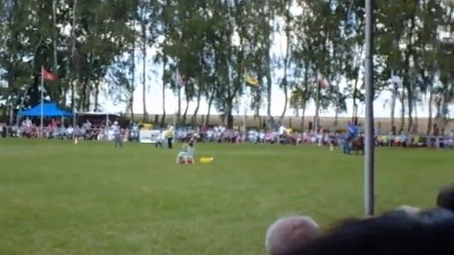 шоу,лошади,пони смотреть онлайн