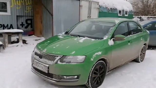 Купил корм и отвез в собачий приют смотреть онлайн