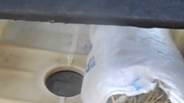 мой ящик для перевозки маленьких поросят смотреть онлайн