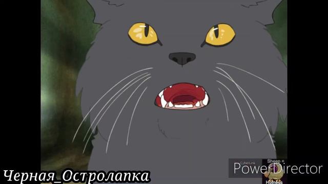 {{Коты воители}} Тишина мой враг. смотреть онлайн