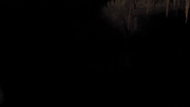 Slowenien 2022пещера Постойнска яма. Самая известная пещера в Европе Höhlen von Postojna