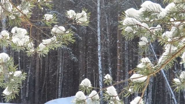 Сказочный зимний лес, зима в лесу, Fairy winter forest смотреть онлайн