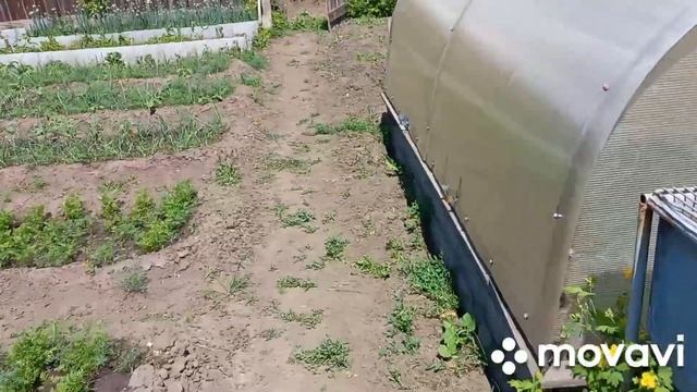 дисковый окучник к мотоблоку своими руками смотреть онлайн