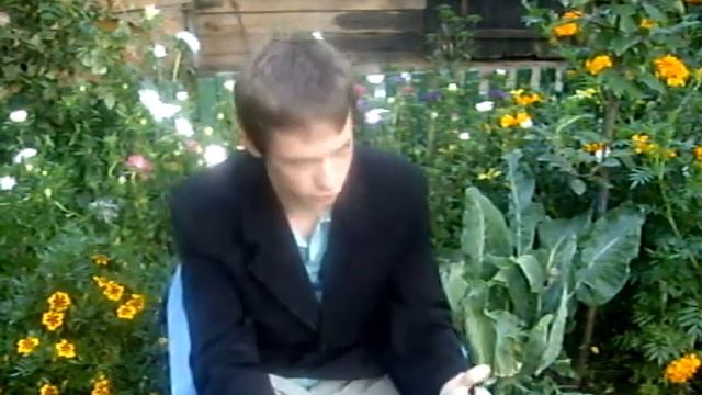 Случайный выход собаки во время съёмки! смотреть онлайн