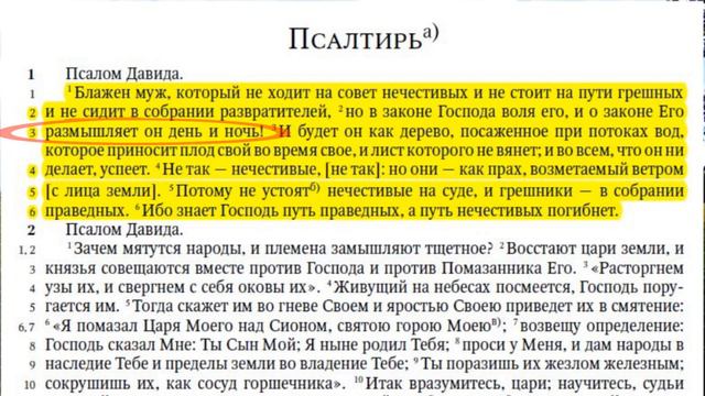 Путь праведных и путь нечестивых (рассуждение) смотреть онлайн