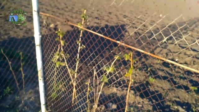 Искусственный пруд своими руками 11 часть . Биоплато . Водопад с камня в пруду. Отчет о копанке смотреть онлайн