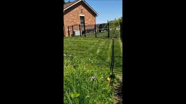 Virtual Garden Tour 2020 смотреть онлайн