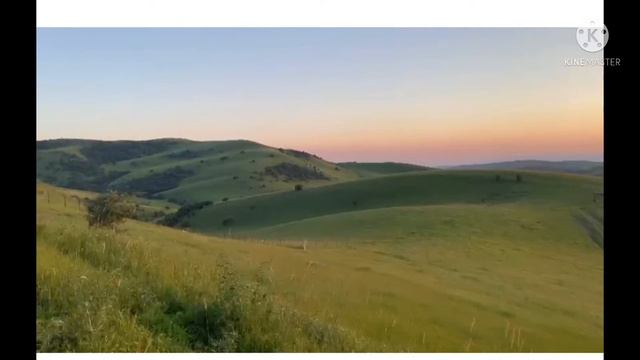 Хафиз Алишер смотреть онлайн