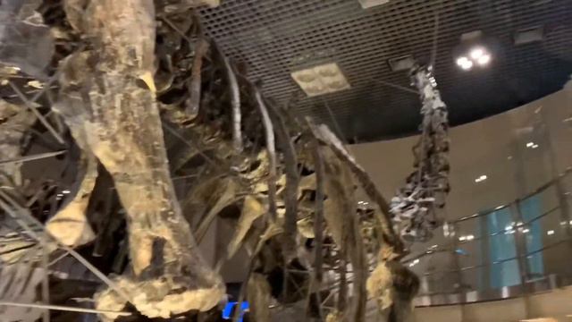 Токио. День 8. Последний день. Музей и покупки. смотреть онлайн