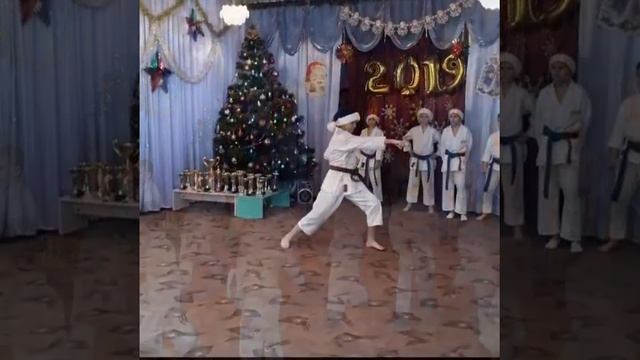 Карате. Утренник, встречаем 2019 год???. смотреть онлайн