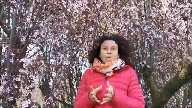 Il Parco in pillole: il Prunus смотреть онлайн
