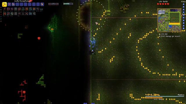 [DQ] Plantera D-Mode Nohit/Flawless смотреть онлайн