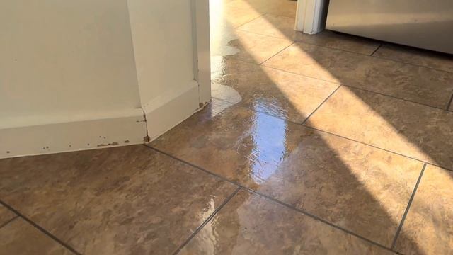 Dreame L10s Ultra Water Dispensing Check