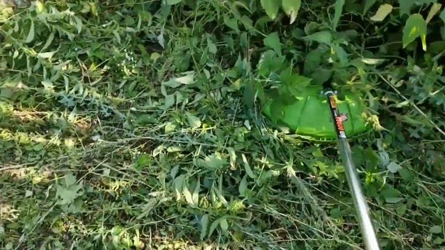 Бензокоса Procraft T5600 4-х тактная смотреть онлайн