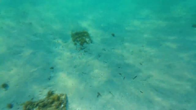 Тунис - море - 001 смотреть онлайн