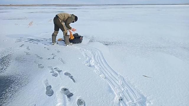 ПЕРВЫЙ ЛЁД 2021/2022 КЛЁВ НАБИРАЕТ ОБОРОТЫ! РЫБАЛКА С ЖЕРЛИЦАМИ НА ЩУКУ НА НОВОМ ОЗЕРЕ ПОД КАМЫШОМ! смотреть онлайн