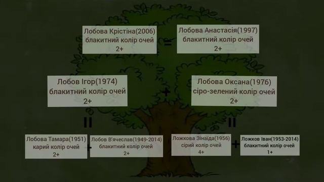 Генеалогічне дерево Лобова Кристина 9 А смотреть онлайн