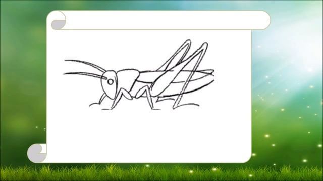 Рисуем насекомых. Видео-презентация. смотреть онлайн