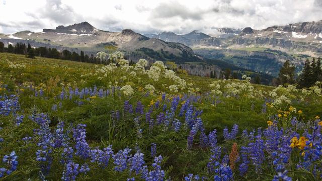 Этот большой мир - Памяти Алексея Леонова. In Memory Of Alexei Leonov.