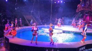 Цирк на воде. Aquacircus