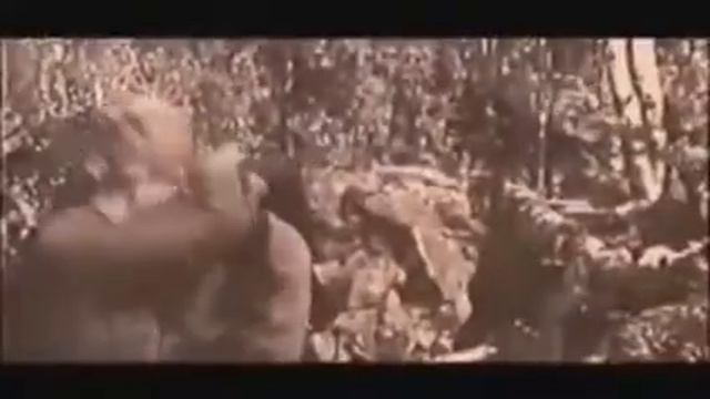 video aaed3fd1556772dfcc7193108ed6ded4 V смотреть онлайн