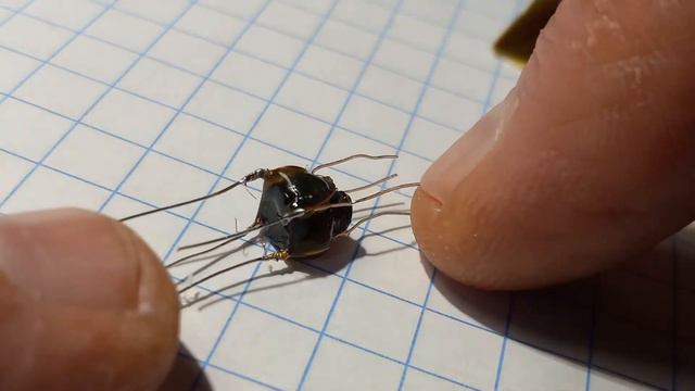 AKG C460 B- Magic osc. coil resurrection! смотреть онлайн